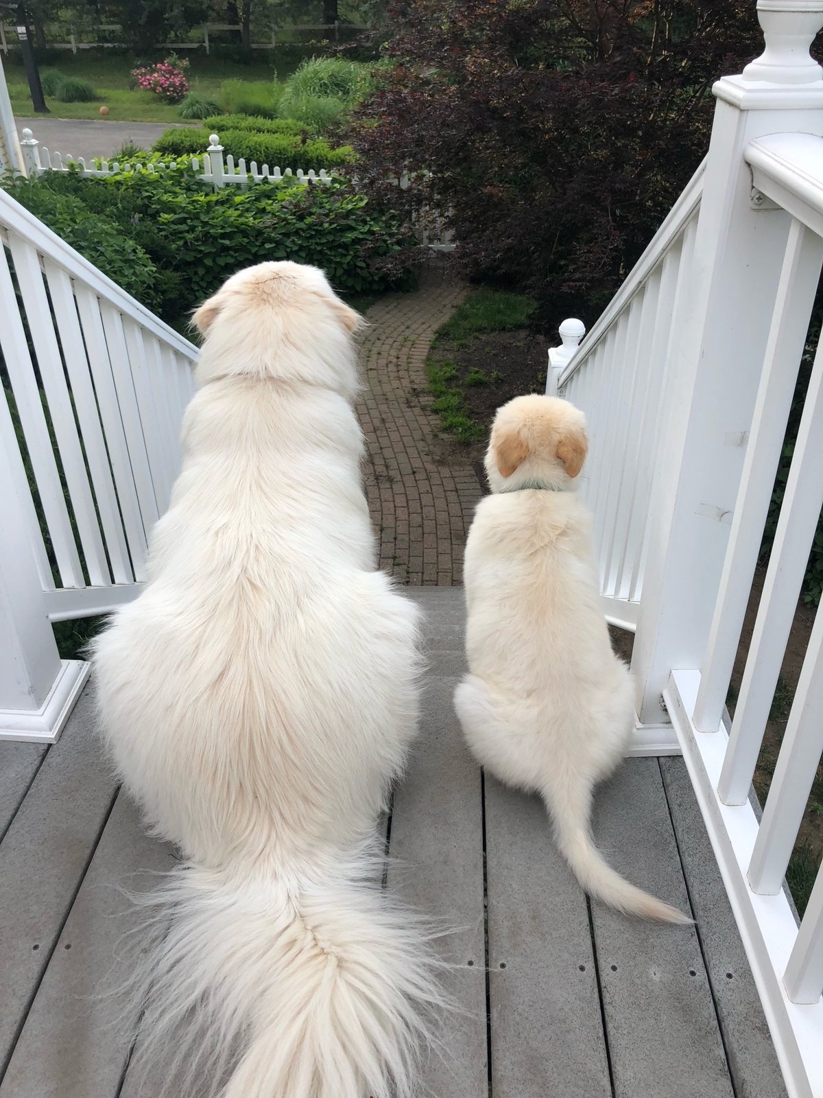 Willow and young Nash sitting together on outdoor steps